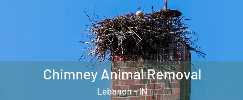  Chimney Animal Removal Lebanon - IN