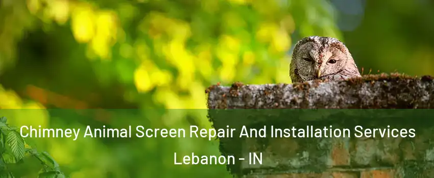  Chimney Animal Screen Repair And Installation Services Lebanon - IN