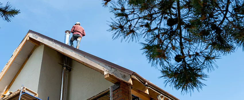Birds Removal Contractors from Chimney in Lebanon, IN